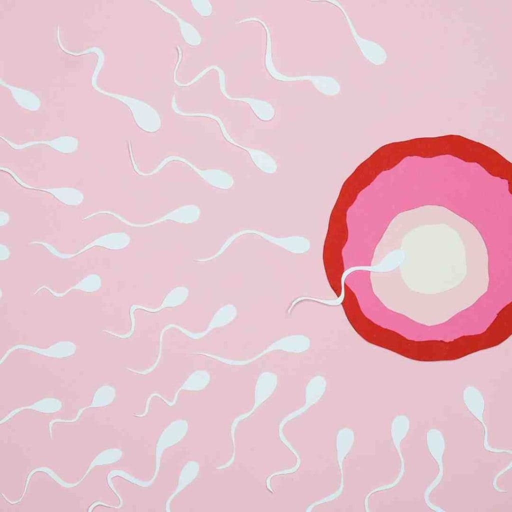 fecundación in vitro