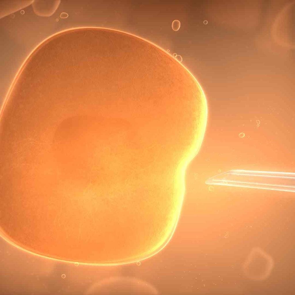 Inseminación artificial