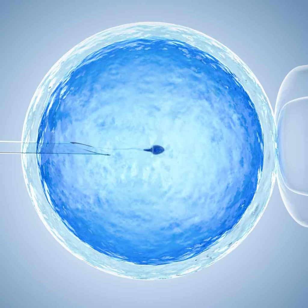 Tratamiento de fertilidad